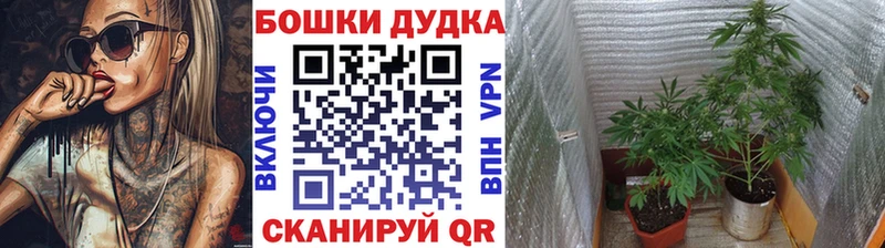 Каннабис конопля  купить наркоту  Жуковка 